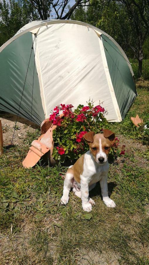 Lavander Garden Camping Válaszút Kültér fotó